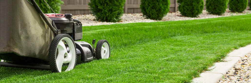 Lawn Care Services Springfield MO