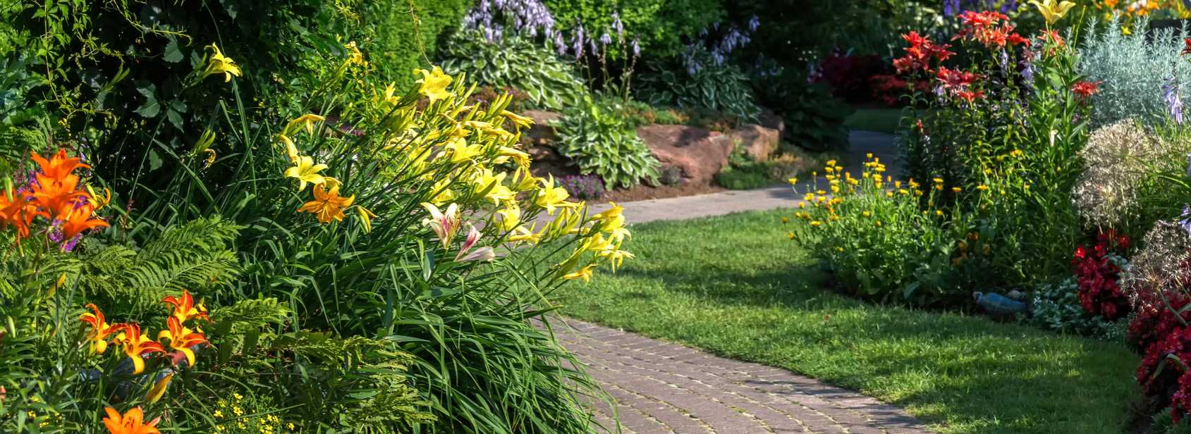 Landscape Replacement Springfield MO