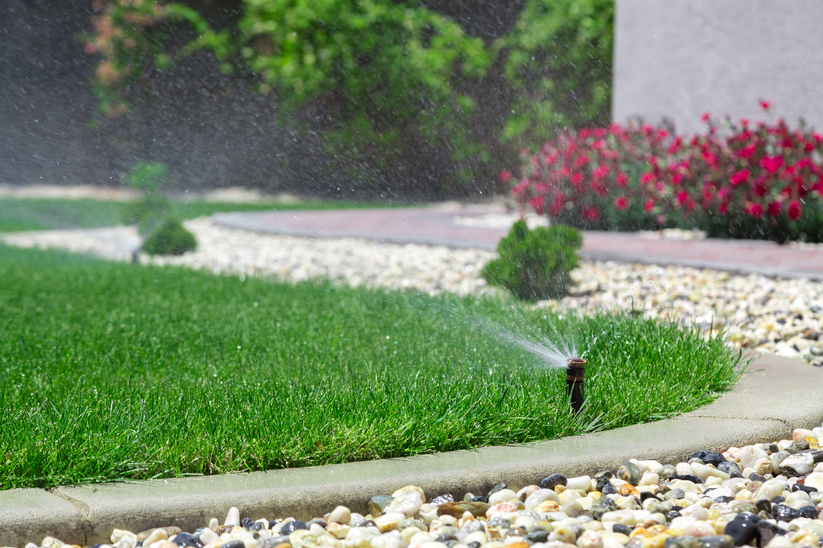 Watering Trees, Plants and Shrubs - Lawn Sprinkler Design Springfield MO