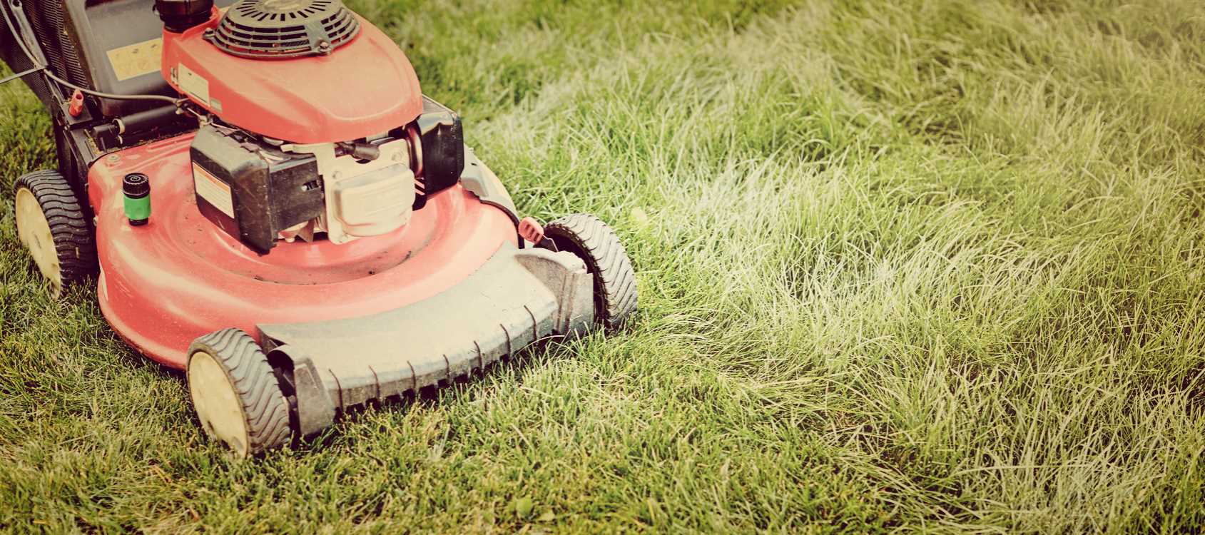 Time-Saving Lawn Care Ideas - Lawn Care Company Springfield MO