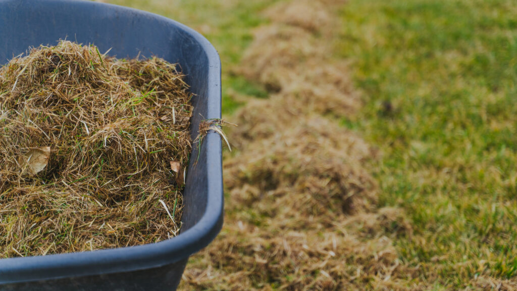 Garden wheelbarrow with dry grass