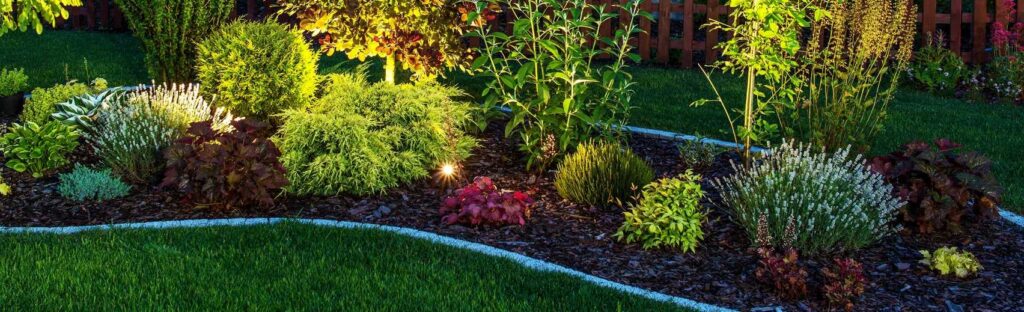 Outdoor landscape lighting installation in Springfield, MO highlighting trees and pathways