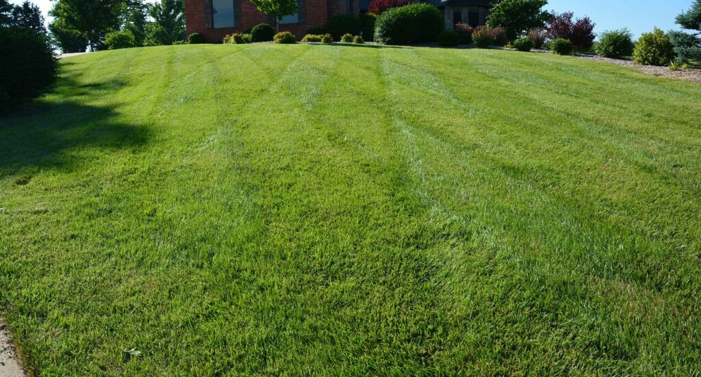 Freshly mowed residential lawn with visible mowing patterns, showcasing professional lawn care service in Springfield, MO by Gabris Landscaping