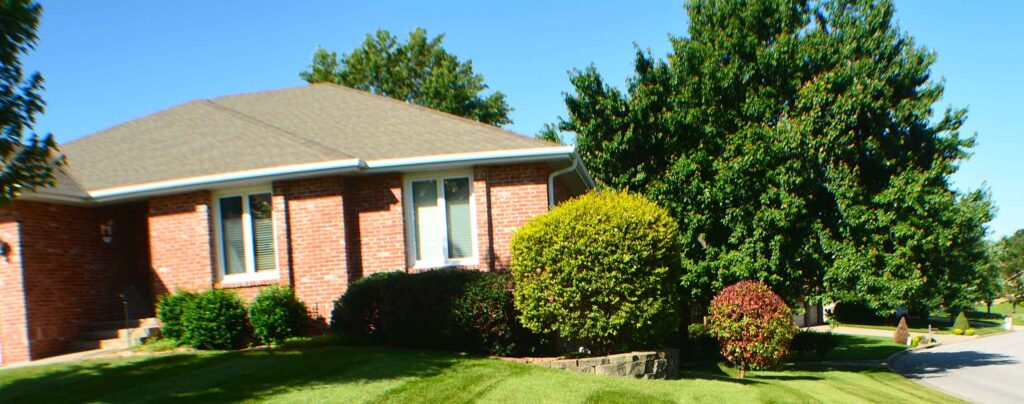 shrub