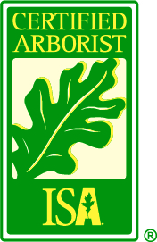 ISA cert