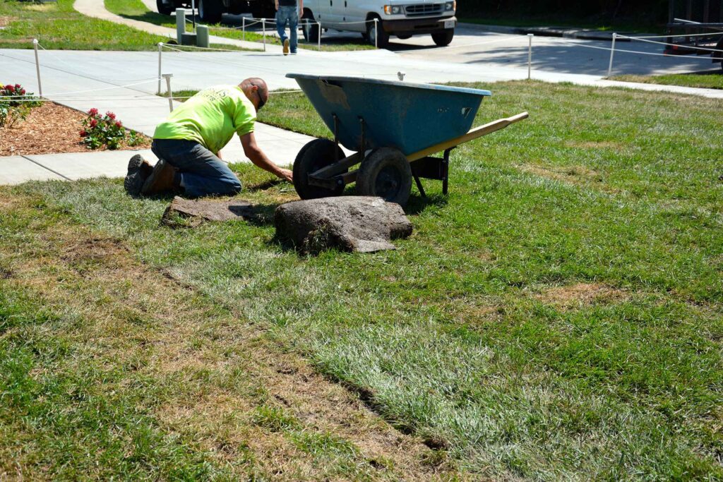 sod-install