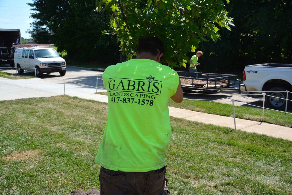 Gabris staff